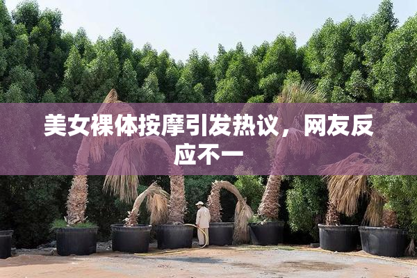 美女裸体按摩引发热议，网友反应不一