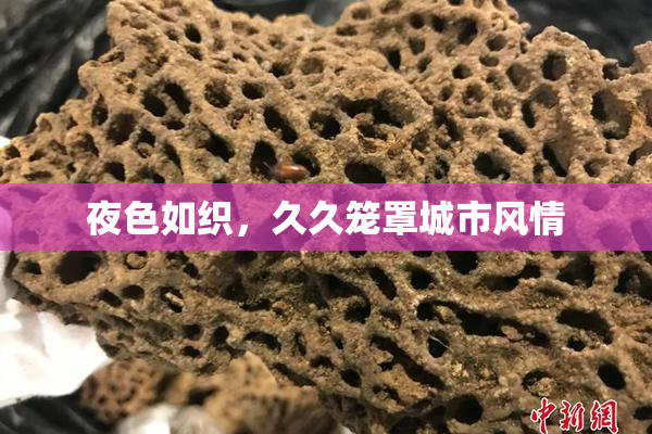 夜色如织，久久笼罩城市风情