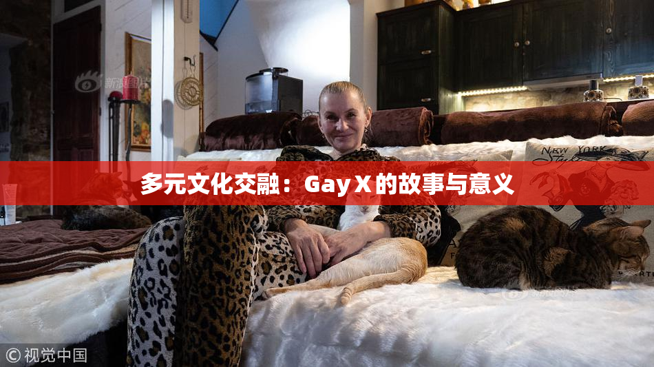 多元文化交融：GayⅩ的故事与意义