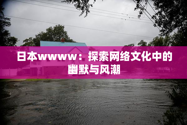 日本wwww：探索网络文化中的幽默与风潮