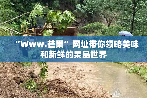 “Www.芒果”网址带你领略美味和新鲜的果品世界
