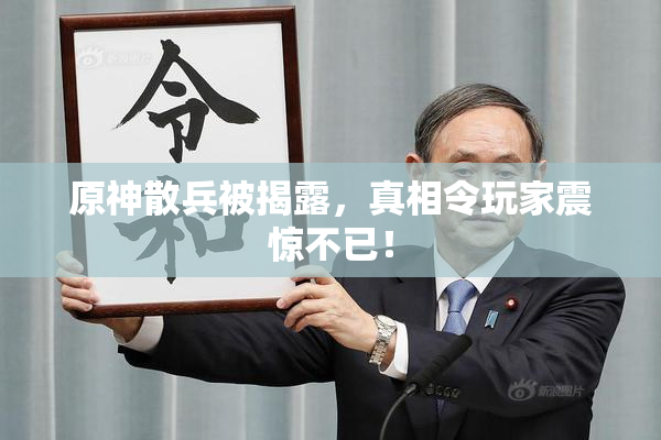原神散兵被揭露，真相令玩家震惊不已！
