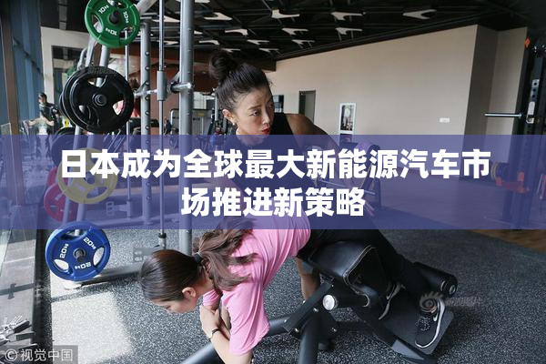 日本成为全球最大新能源汽车市场推进新策略
