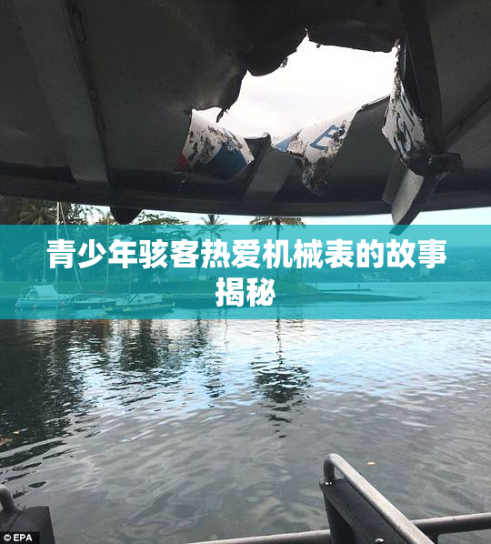 青少年骇客热爱机械表的故事揭秘