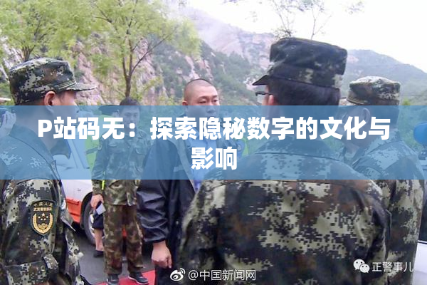 P站码无：探索隐秘数字的文化与影响