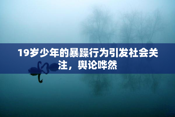 19岁少年的暴躁行为引发社会关注，舆论哗然