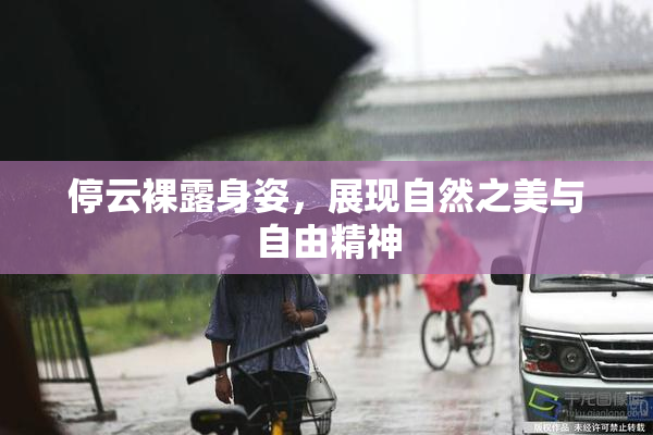 停云裸露身姿，展现自然之美与自由精神
