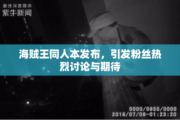 海贼王同人本发布，引发粉丝热烈讨论与期待