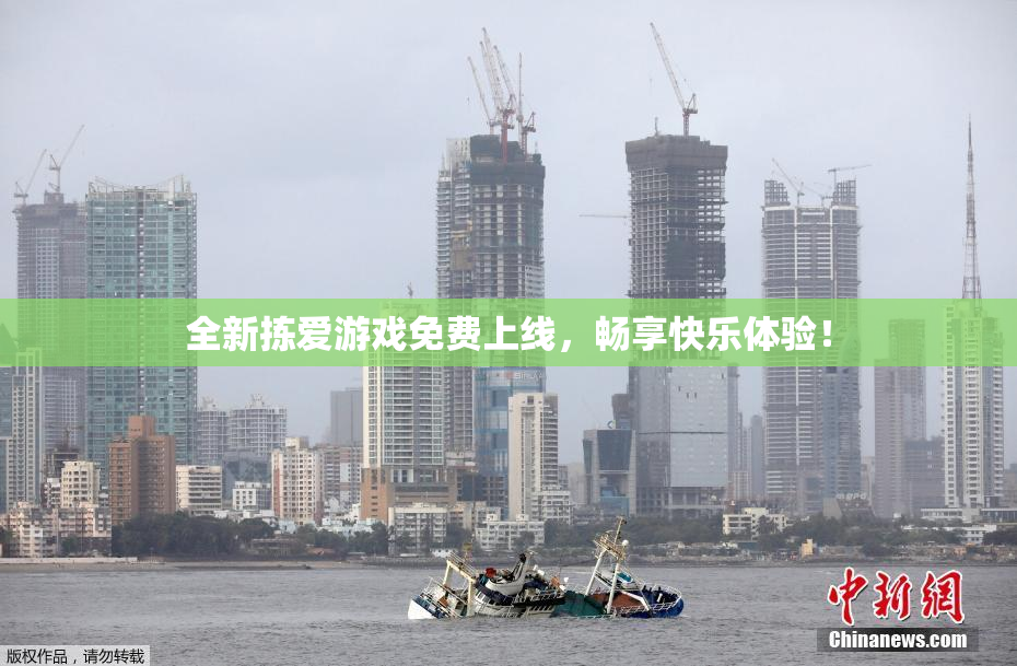 全新拣爱游戏免费上线，畅享快乐体验！