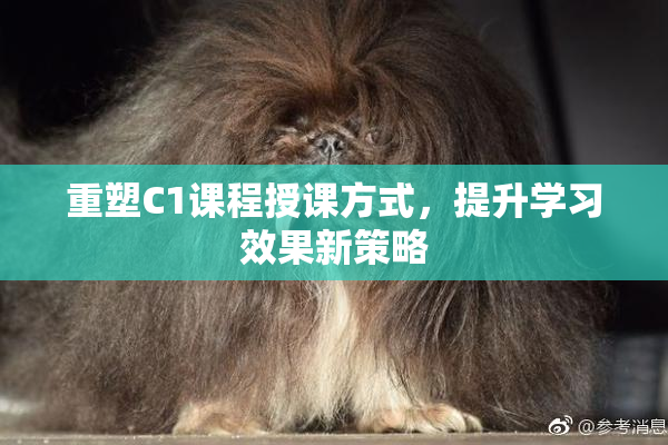 重塑C1课程授课方式，提升学习效果新策略