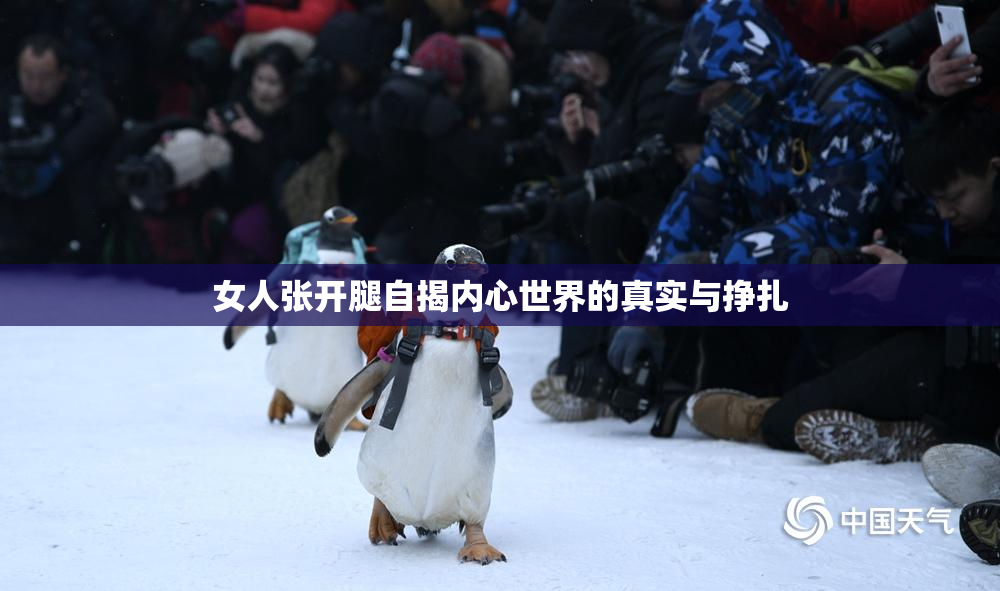 女人张开腿自揭内心世界的真实与挣扎