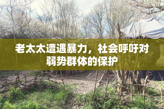 老太太遭遇暴力，社会呼吁对弱势群体的保护