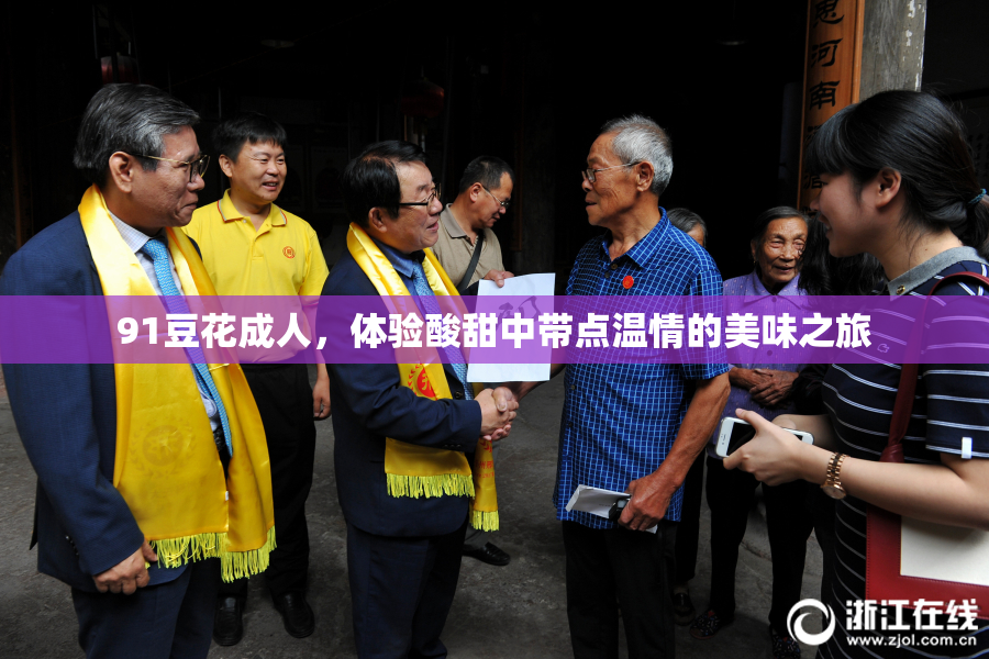 91豆花成人，体验酸甜中带点温情的美味之旅