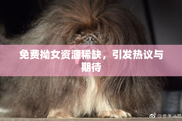 免费拗女资源稀缺，引发热议与期待