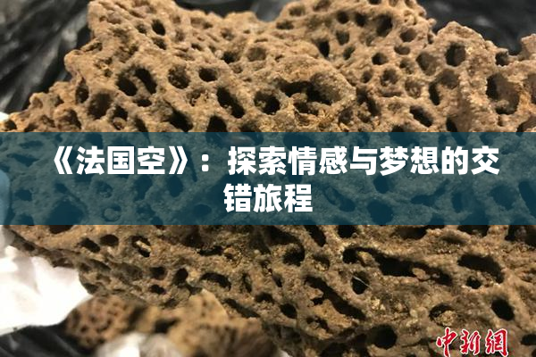 《法国空》：探索情感与梦想的交错旅程