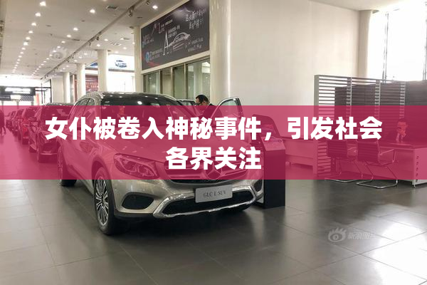 女仆被卷入神秘事件，引发社会各界关注