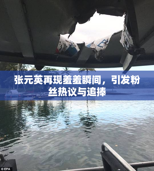 张元英再现羞羞瞬间，引发粉丝热议与追捧