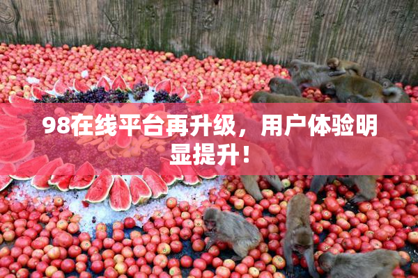 98在线平台再升级，用户体验明显提升！