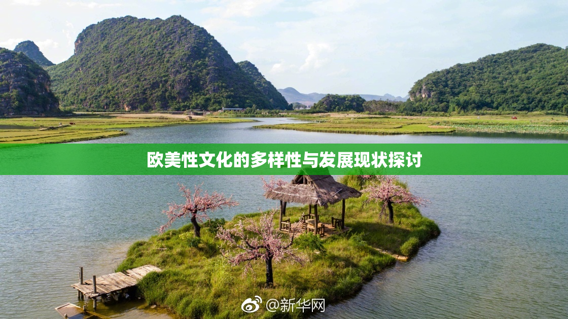 欧美性文化的多样性与发展现状探讨
