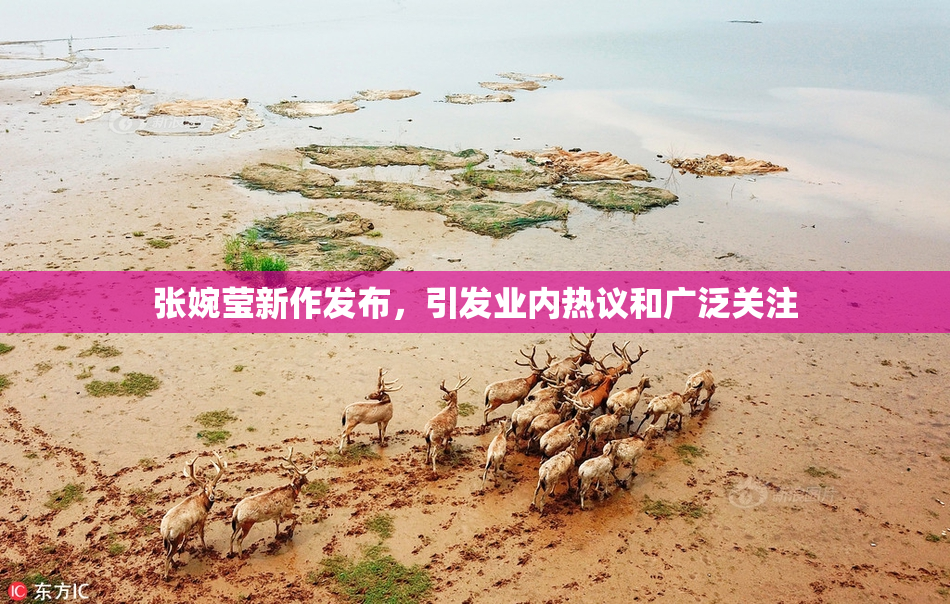 张婉莹新作发布，引发业内热议和广泛关注