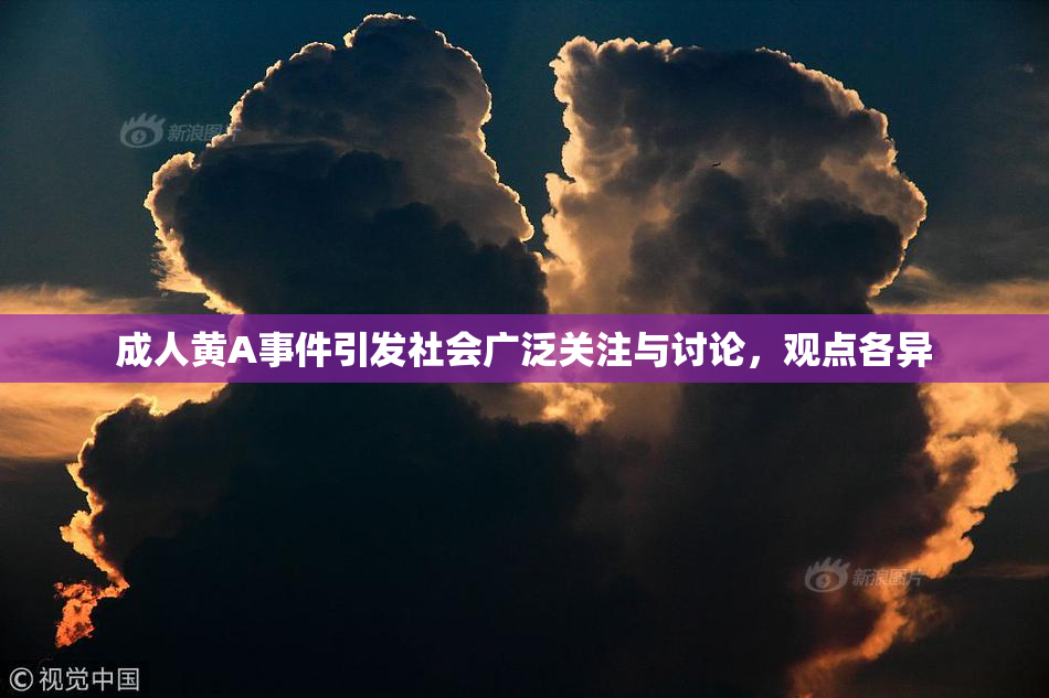 成人黄A事件引发社会广泛关注与讨论，观点各异