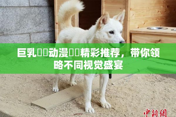 巨乳❌‌动漫❌‌精彩推荐，带你领略不同视觉盛宴