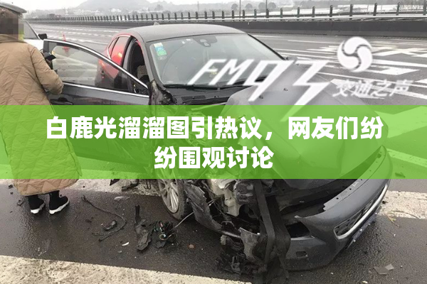 白鹿光溜溜图引热议，网友们纷纷围观讨论