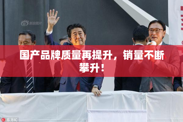 国产品牌质量再提升，销量不断攀升！