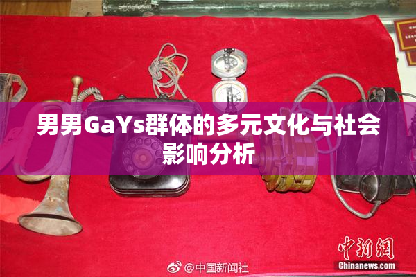 男男GaYs群体的多元文化与社会影响分析