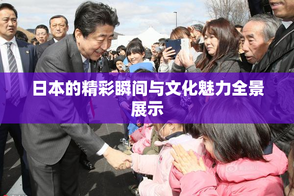日本的精彩瞬间与文化魅力全景展示