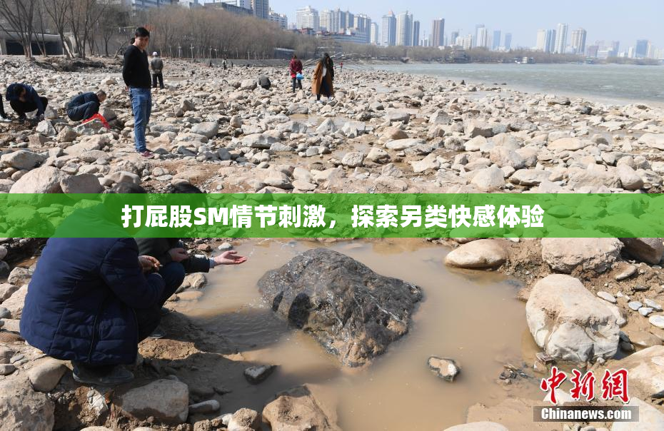 打屁股SM情节刺激，探索另类快感体验