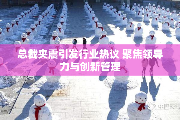 总裁夹震引发行业热议 聚焦领导力与创新管理
