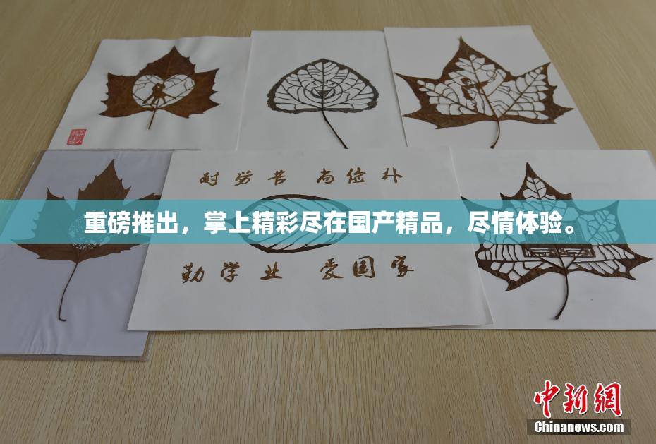 重磅推出，掌上精彩尽在国产精品，尽情体验。