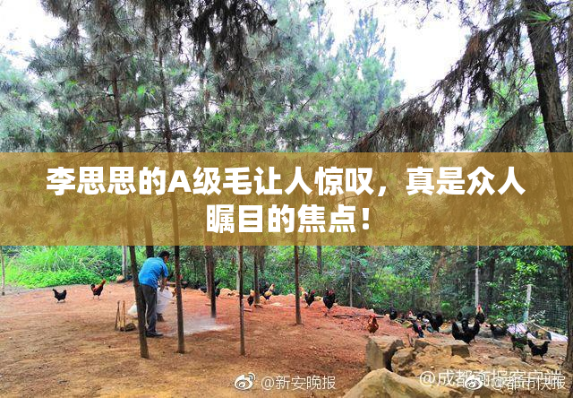 李思思的A级毛让人惊叹，真是众人瞩目的焦点！