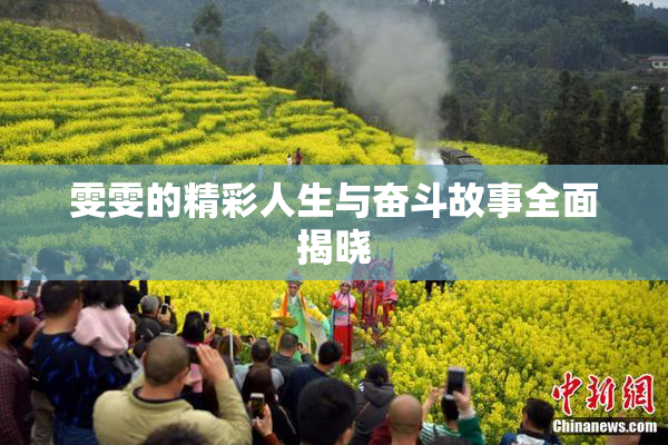 雯雯的精彩人生与奋斗故事全面揭晓