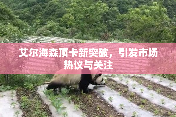 艾尔海森顶卡新突破，引发市场热议与关注