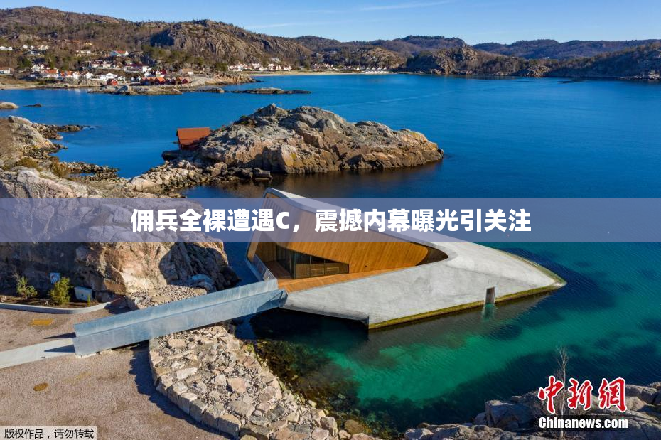 佣兵全裸遭遇C，震撼内幕曝光引关注