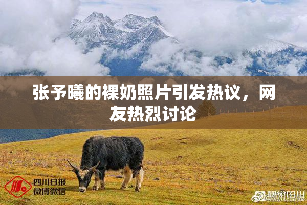 张予曦的裸奶照片引发热议，网友热烈讨论