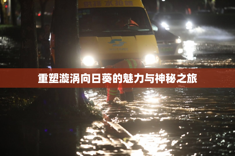 重塑漩涡向日葵的魅力与神秘之旅
