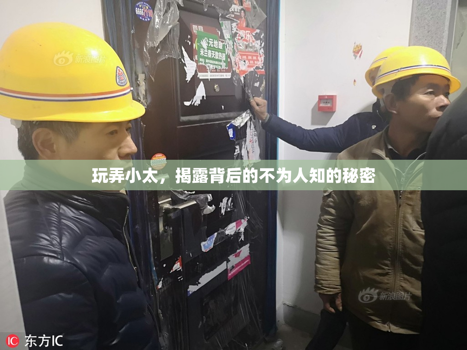 玩弄小太，揭露背后的不为人知的秘密