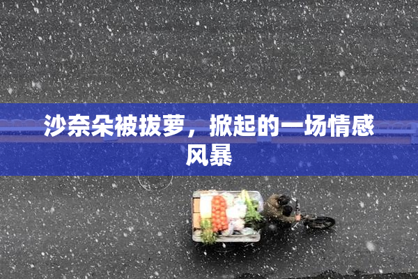 沙奈朵被拔萝，掀起的一场情感风暴