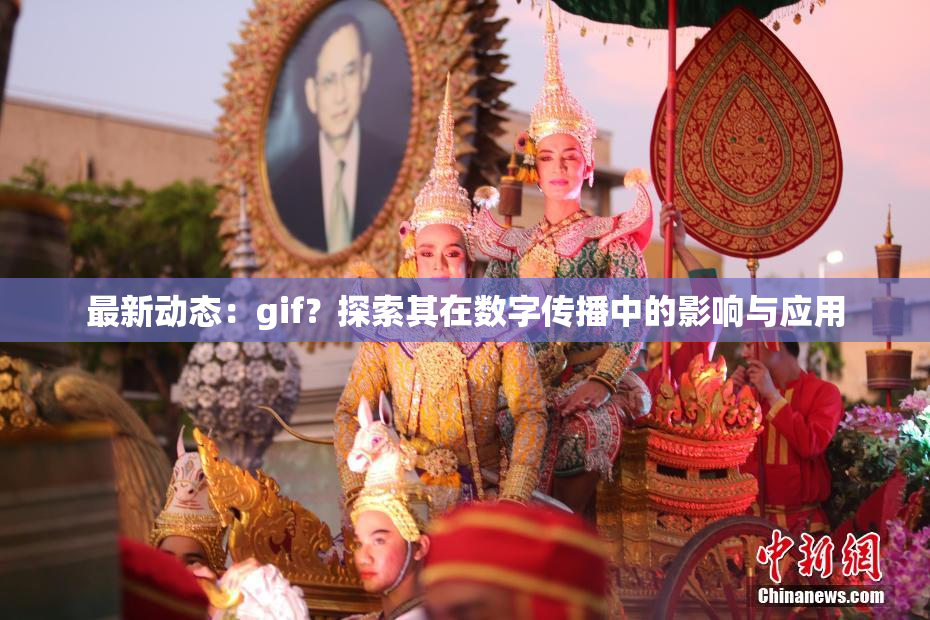 最新动态：gif？探索其在数字传播中的影响与应用