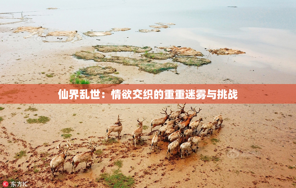 仙界乱世：情欲交织的重重迷雾与挑战