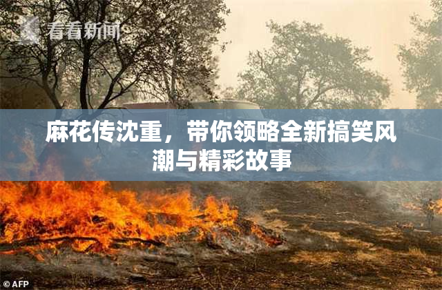 麻花传沈重，带你领略全新搞笑风潮与精彩故事