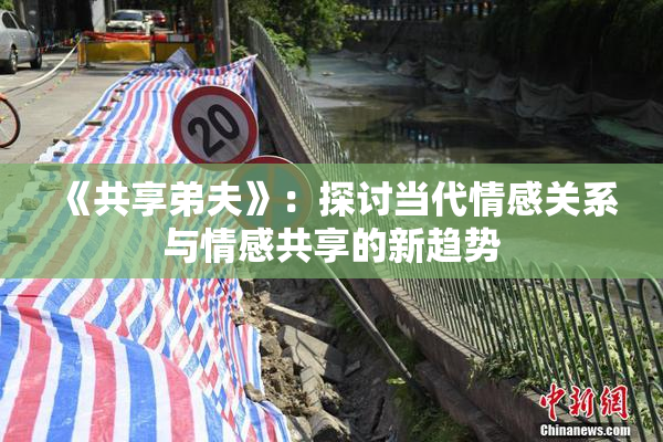 《共享弟夫》：探讨当代情感关系与情感共享的新趋势