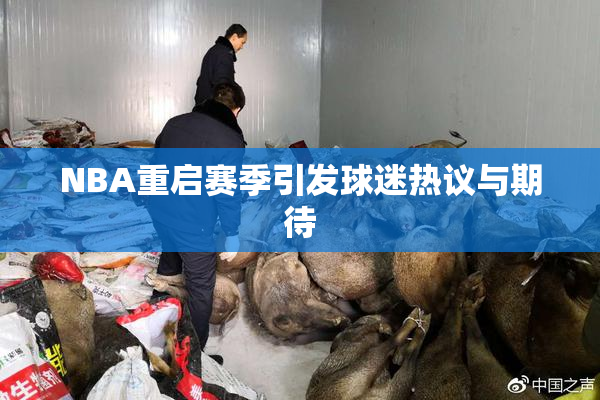 NBA重启赛季引发球迷热议与期待