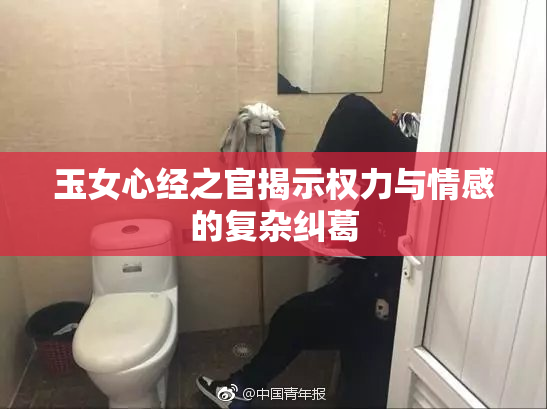玉女心经之官揭示权力与情感的复杂纠葛