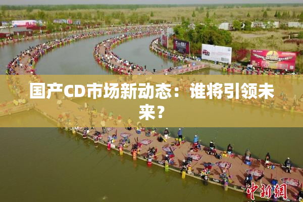 国产CD市场新动态：谁将引领未来？