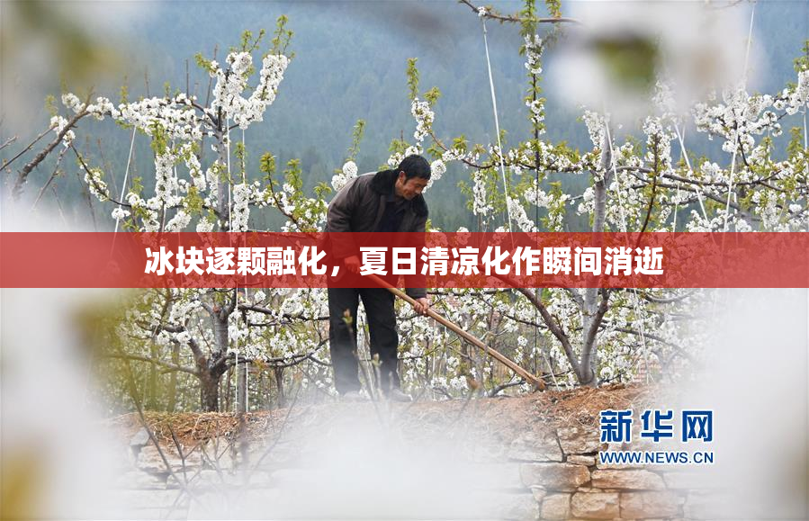 冰块逐颗融化，夏日清凉化作瞬间消逝