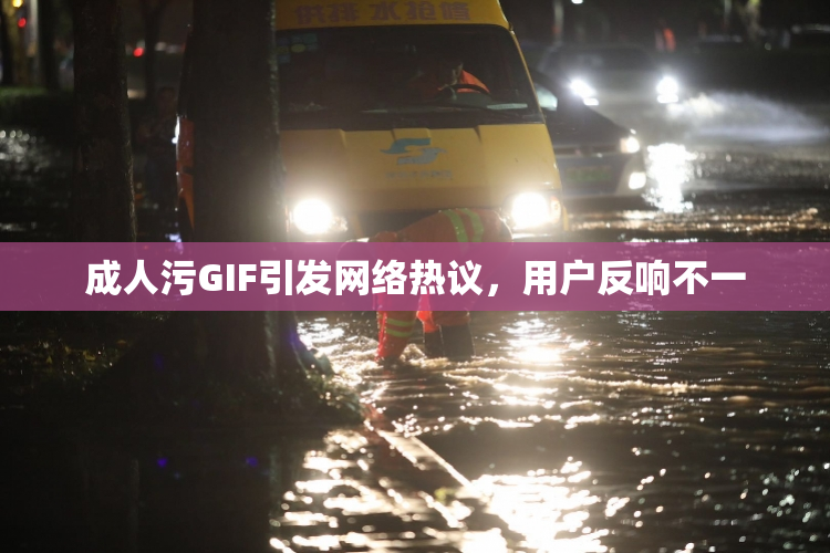 成人污GIF引发网络热议，用户反响不一